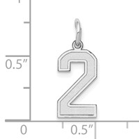 14K White Gold Small Satin Number 2 Charm view 3