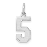 14K White Gold Small Satin Number 5 Charm view 1