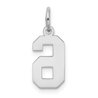 14K White Gold Small Satin Number 6 Charm view 4