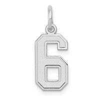 14K White Gold Small Satin Number 6 Charm view 1