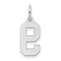 14K White Gold Small Satin Number 9 Charm view 4