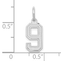 14K White Gold Small Satin Number 9 Charm view 3