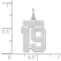 14K White Gold Small Satin Number 19 Charm view 3