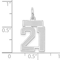 14kw Small Satin Number 21 Charm view 3