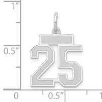 14K White Gold Small Satin Number 25 Charm view 4