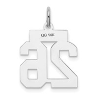 14K White Gold Small Satin Number 26 Charm view 3