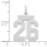 14K White Gold Small Satin Number 26 Charm view 4