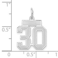 14K White Gold Small Satin Number 30 Charm view 4