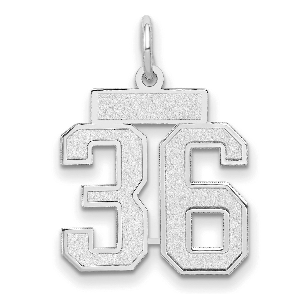 14K White Gold Small Satin Number 36 Charm