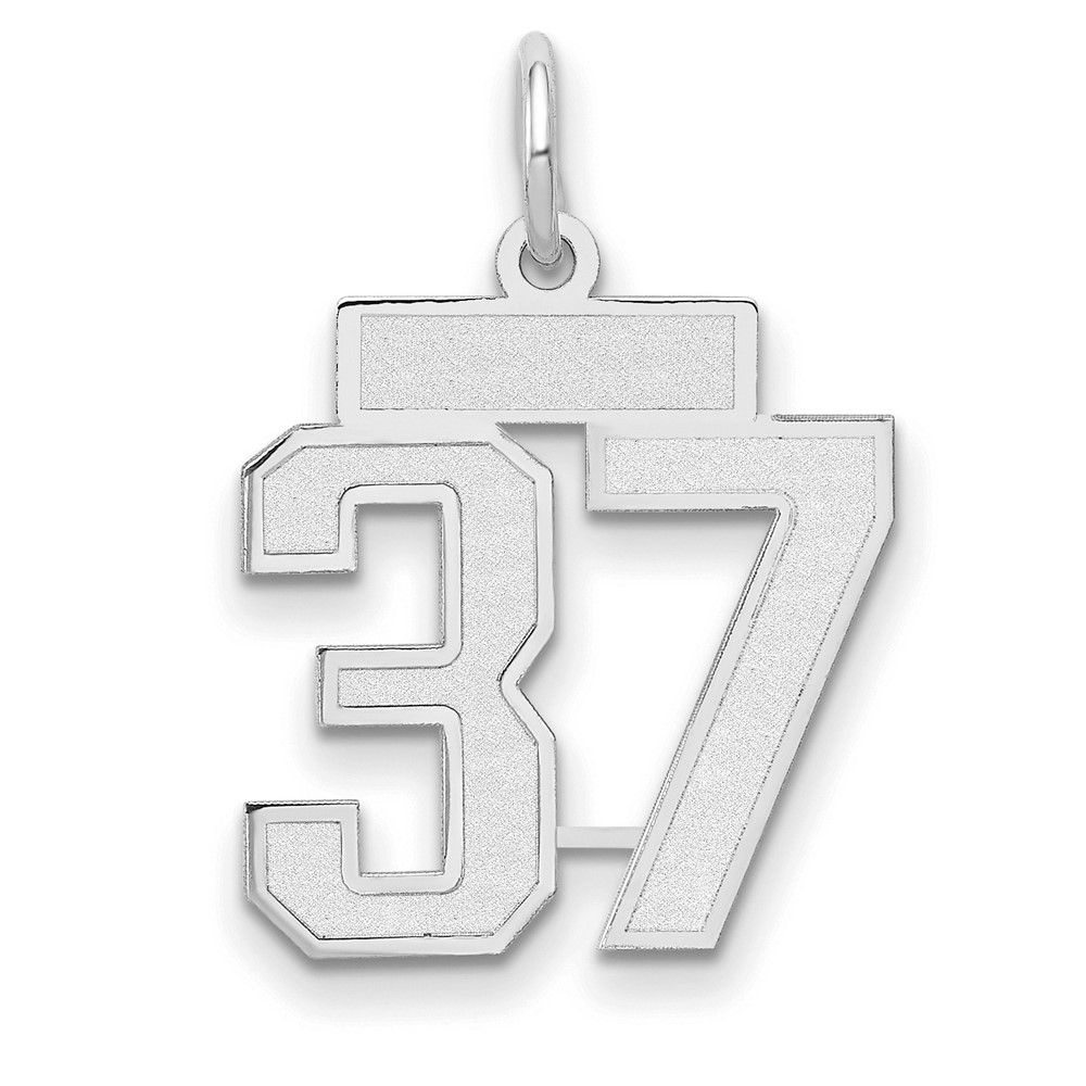 14K White Gold Small Satin Number 37 Charm