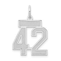 14kw Small Satin Number 42 Charm view 1