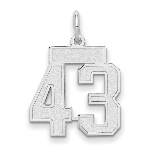 14K White Gold Small Satin Number 43 Charm
