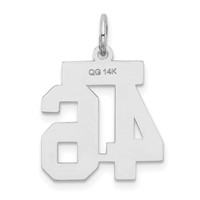 14K White Gold Small Satin Number 46 Charm view 3