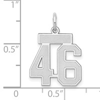 14K White Gold Small Satin Number 46 Charm view 4
