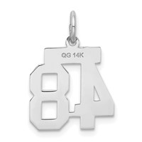 14kw Small Satin Number 48 Charm view 3