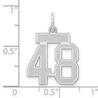 14kw Small Satin Number 48 Charm view 4