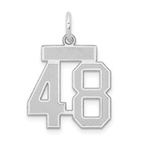 14kw Small Satin Number 48 Charm view 1