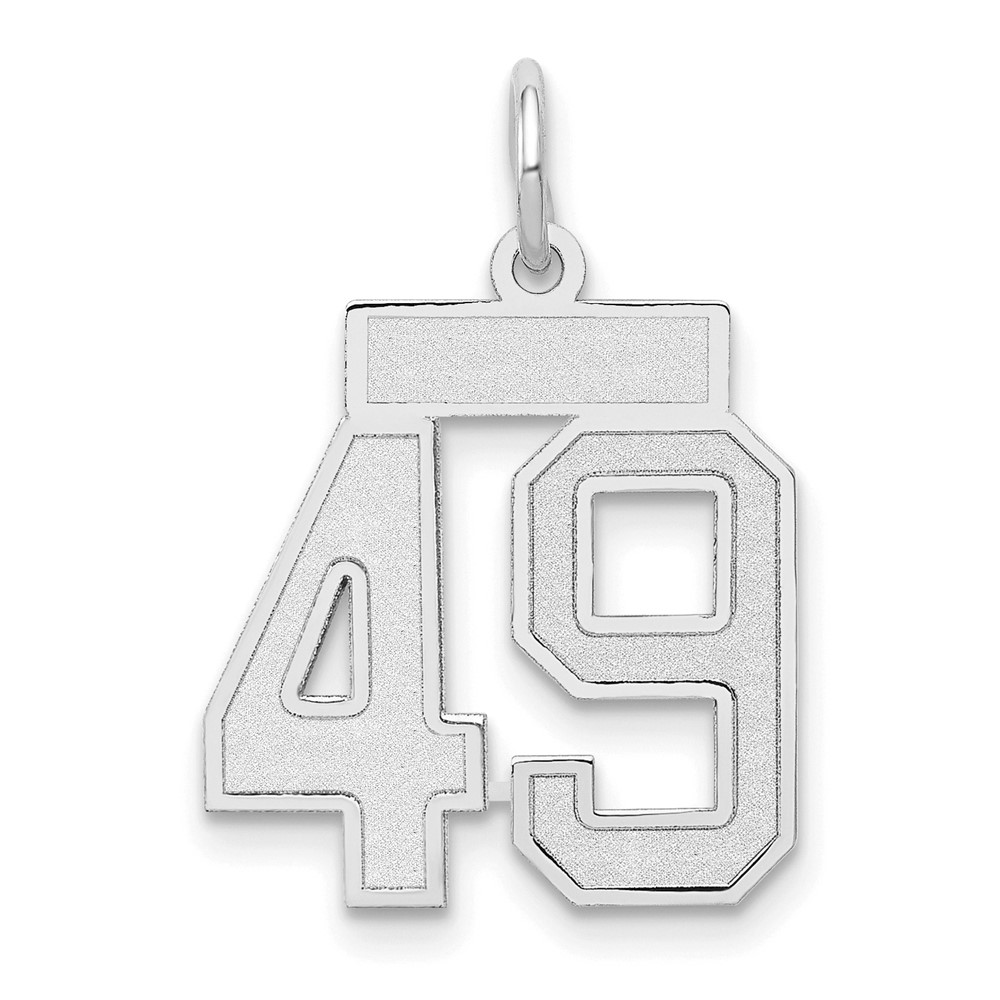 14K White Gold Small Satin Number 49 Charm