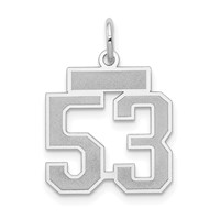 14K White Gold Small Satin Number 53 Charm view 1