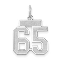 14K White Gold Small Satin Number 65 Charm view 1