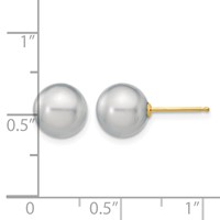 14K Yellow Gold 8-9mm Grey Round Freshwater Cultured Pearl Stud Post Earrings view 4