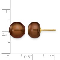14K Yellow Gold 9-10mm Brown Button Freshwater Cultured Pearl Stud Post Earrings view 4
