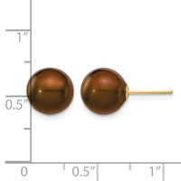 14K Yellow Gold 9-10mm Brown Round Freshwater Cultured Pearl Stud Post Earrings view 4