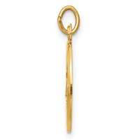 14K Yellow Gold Polished and Satin Solid Caridad Del Cobre Medal Round Pendant view 2