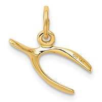 14K Yellow Gold Wishbone Charm view 4