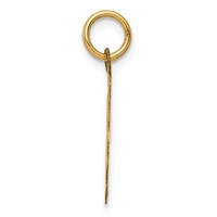 14K Yellow Gold 5th Anniversary 16mm Engravable Disc Charm view 2