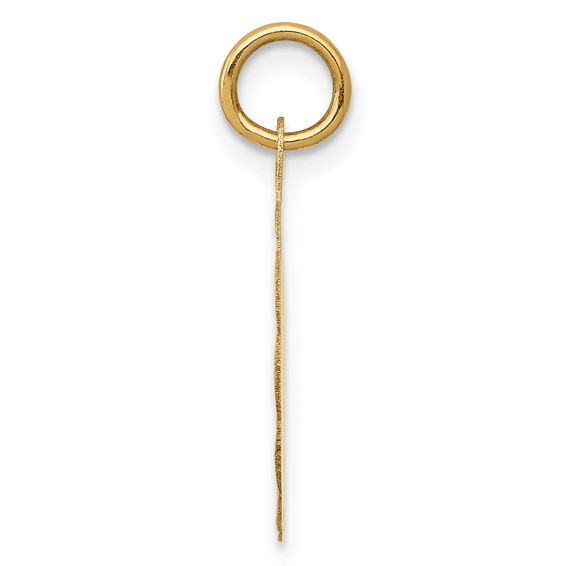 14K 10th ANNIVERSARY 16mm Engravable Disc Charm