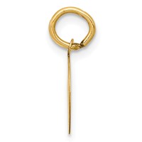 14K Yellow Gold Polished and Satin Solid Holy Communion Round Disc Charm view 2
