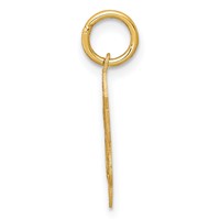 14K Yellow Gold Polished and Satin Solid Holy Communion Scalloped Edge Round Disc Charm view 2
