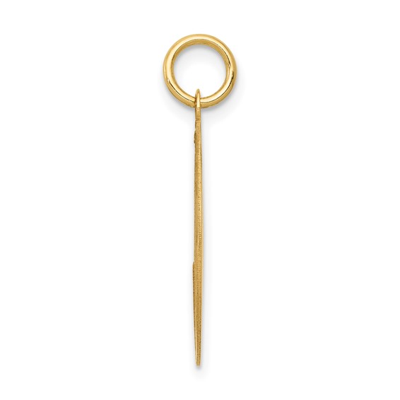 14k LABRADOR RETRIEVER 20mm Engravable Disc Dog Charm