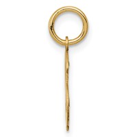 14K Yellow Gold Polished Dollar Sign Charm view 2