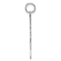 14K White Gold Satin Polished Ballerina Charm view 2