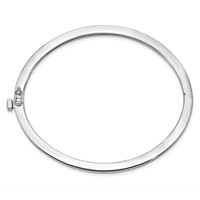 14K White Gold 2.5mm Polished Solid Hinged Oval Bangle Bracelet view 2