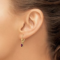 14K Yellow Gold 6x 4 Oval Bezel June Rhodolite Garnet Leverback Earrings view 3