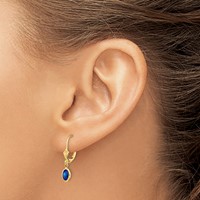 14K Yellow Gold 6x4 Oval Bezel September Sapphire Leverback Earrings view 3