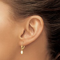 14K Yellow Gold 6x 4 Oval Bezel October Opal Leverback Earrings view 3