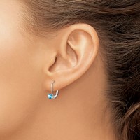 14K White Gold 4mm Round December Blue Topaz Leverback Earrings view 3