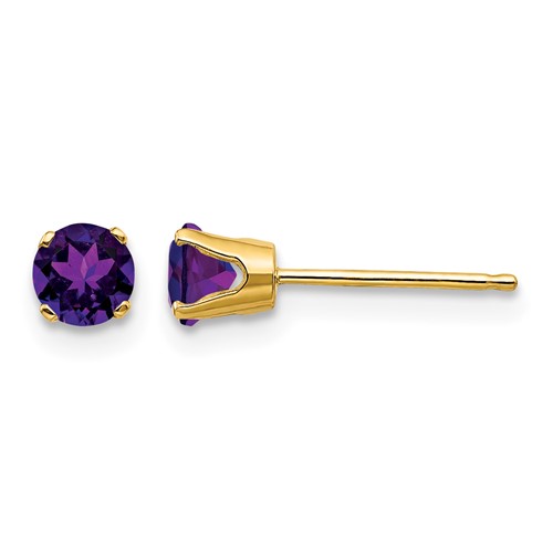 14K 4mm Yellow Gold Round February Amethyst Post Earrings