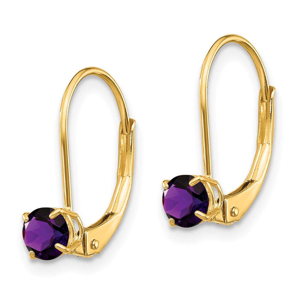 14k Amethyst Earrings - February (XBE74)