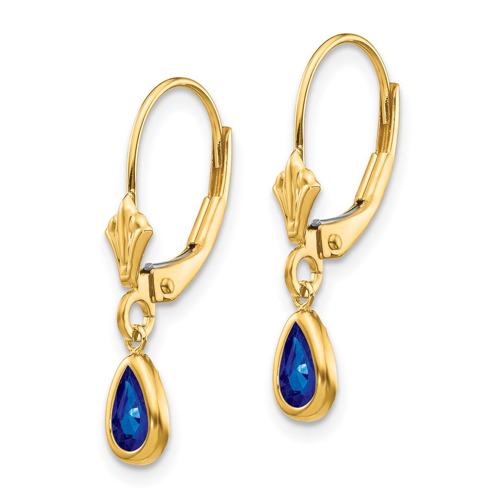 14k 6x4mm September/Sapphire Earrings (XBE93)