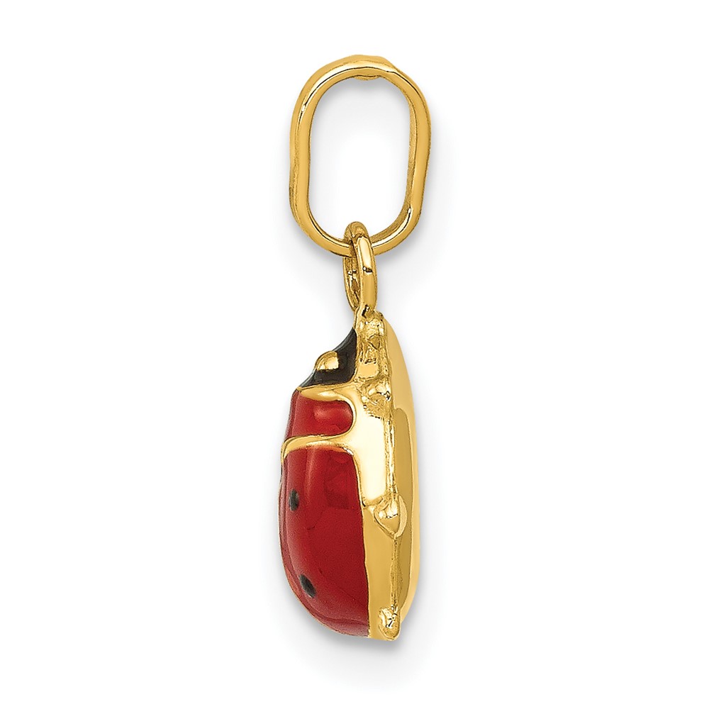14k Enameled Ladybug Charm (XCH216)