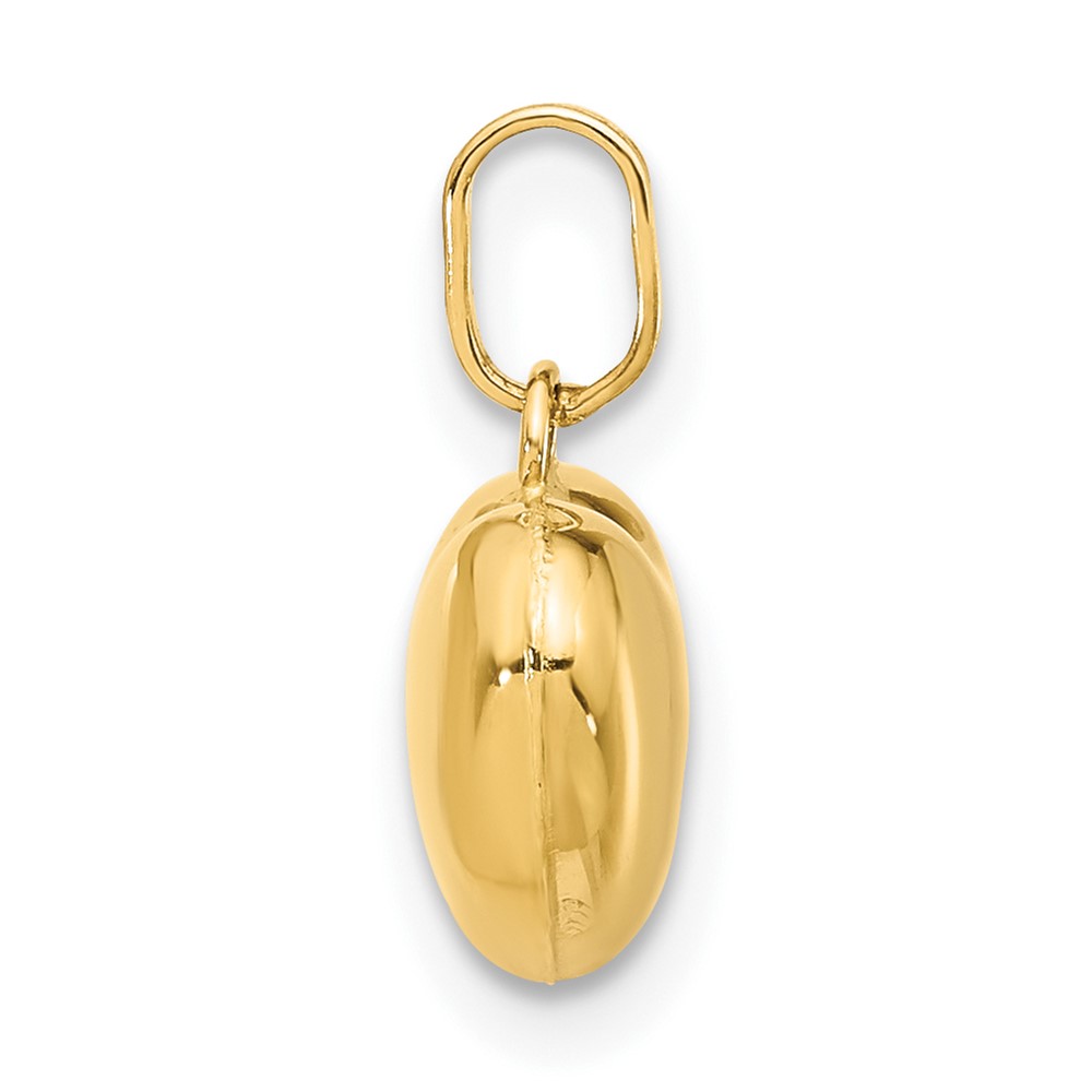 14K Polished 3-D Puffed Heart Pendant (XCH99)