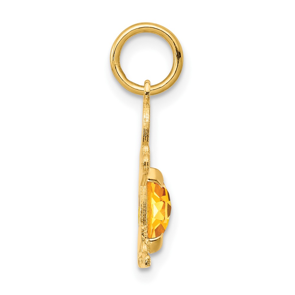 14K Boy 6x4 Oval Genuine Citrine-November (XCK31)