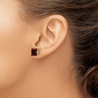 14K 8mm Princess-cut Garnet Post Earrings view 3