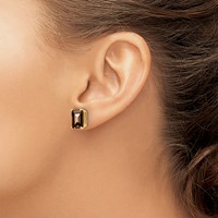 14K Yellow Gold 9x7mm Emerald-cut Smoky Quartz Post Earrings view 3