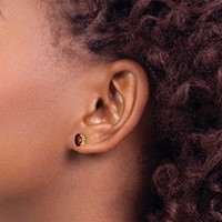 14K Yellow Gold 6x4mm Oval Checker-cut Garnet Post Earrings view 3